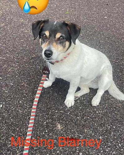 536878916_1210153844488957_3504425995183135493_n