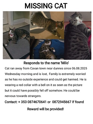 534805055_1284813963336967_8170390101816896393_n